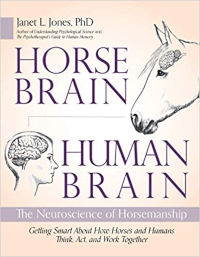 Horse Brain, Human Brain